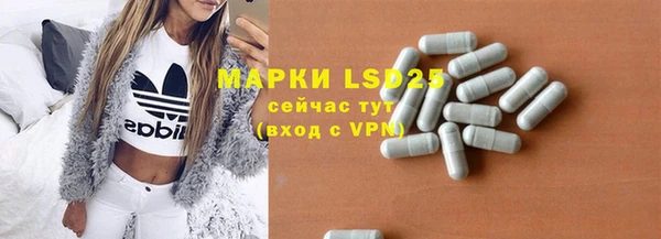 прущие грибы Аркадак