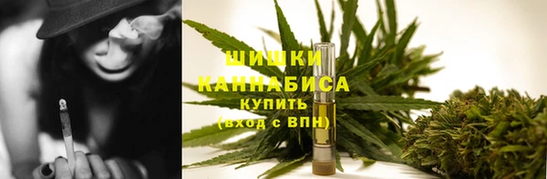 прущие грибы Аркадак