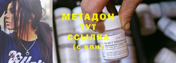 прущие грибы Аркадак