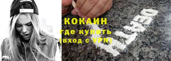 прущие грибы Аркадак