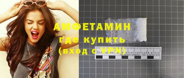 прущие грибы Аркадак
