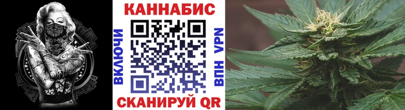 mega маркетплейс  купить закладку  Тавда  Шишки марихуана семена 